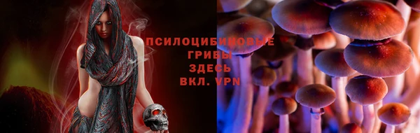 индика Магадан