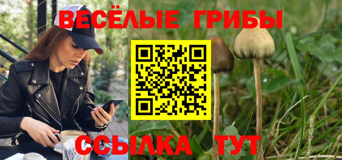 Холмск  Псилоцибиновые грибы прущие грибы  Вход с VPN 