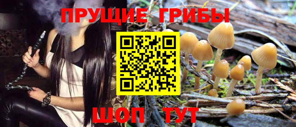 Псилоцибиновые грибы MAGIC MUSHROOMS Холмск